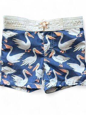 Baby Gap Boys' Blue Pelican Print Swim Shorts Size 18-24 Months